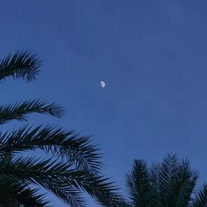 欧洲老妇色TV，
