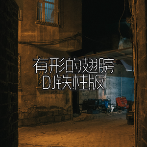 欧洲老妇色TV，
