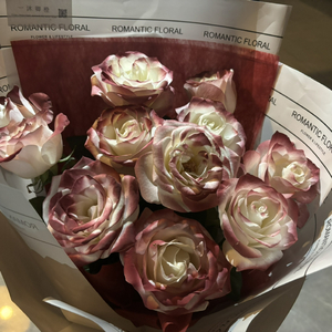 欧洲老妇色TV，
